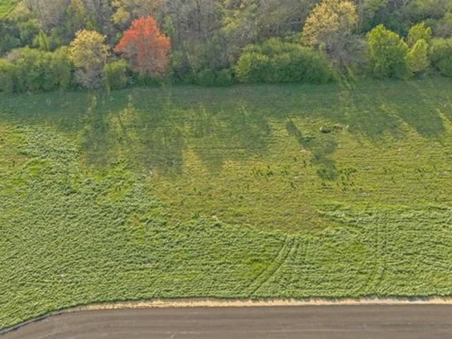 Land for sale in Rainsville, Alabama