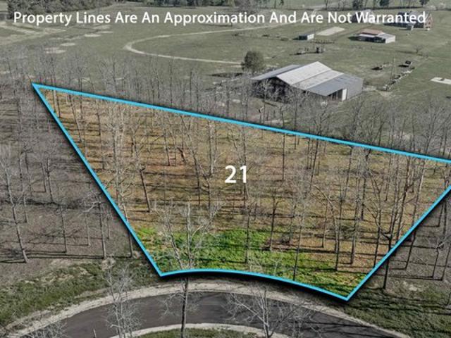 Land for sale in Rainsville, Alabama