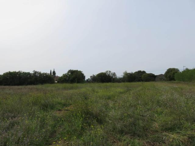 Terrain vente à Garrigues-Sainte-Eulalie, Gard