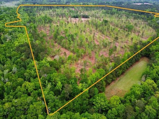 Land for sale in Smoaks, South Carolina