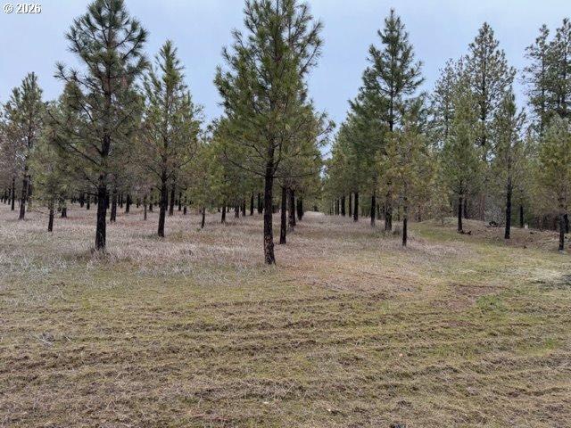 Land for sale in Goldendale, Washington