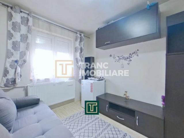 Garsonieră închirieri în Arad