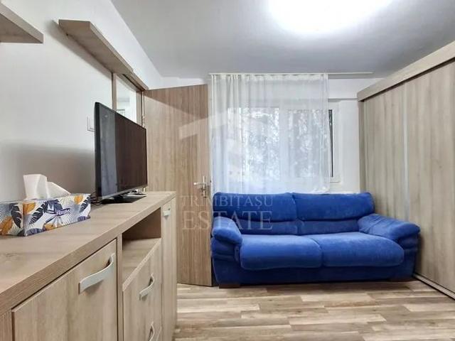 Garsonieră închirieri în Valcea