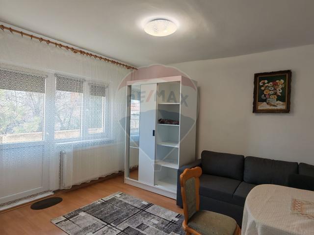 Garsonieră închirieri în Craiova, Dolj