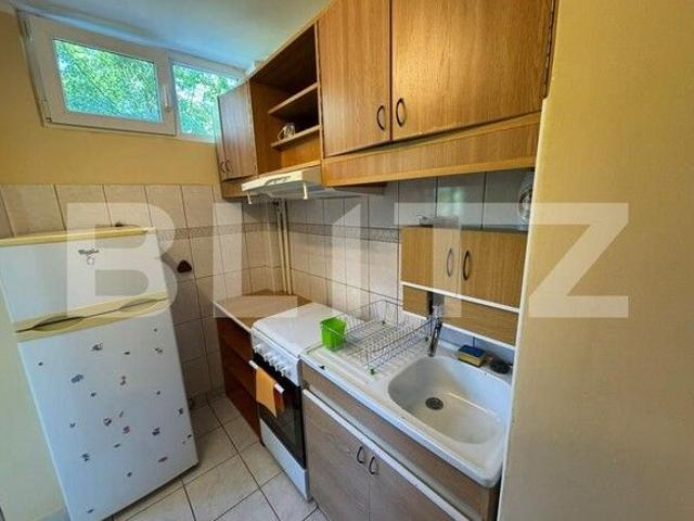 Garsonieră închirieri în Cluj-napoca, Cluj