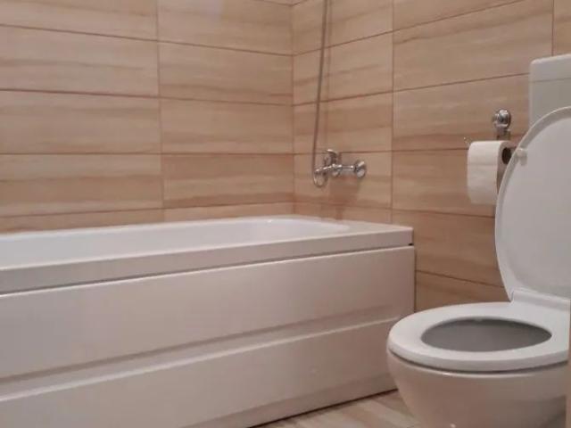 Apartament închirieri în Runcu