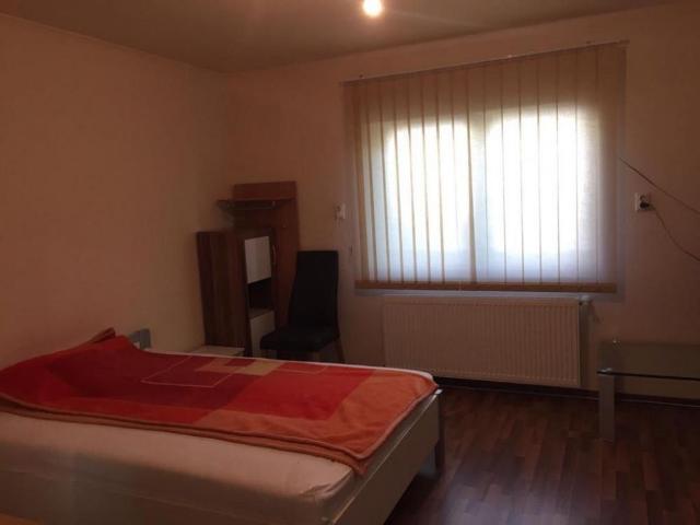 Garsonieră închirieri în Timisoara, Timiș