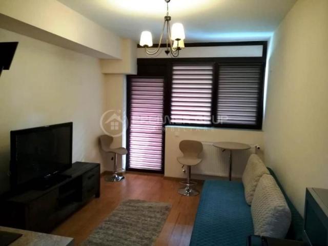 Garsonieră închirieri în Mircea Cel Batran, Iași