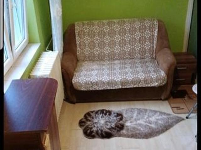 Apartament vânzări