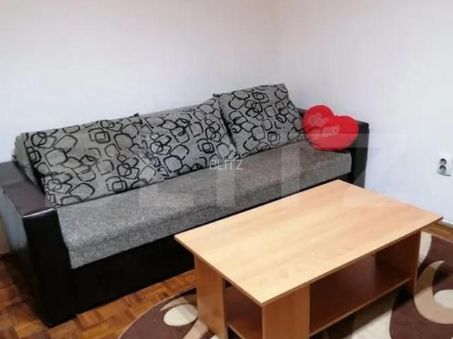 Garsonieră închirieri în Cluj-napoca, Cluj