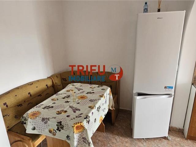 Garsonieră închirieri în Cetate
