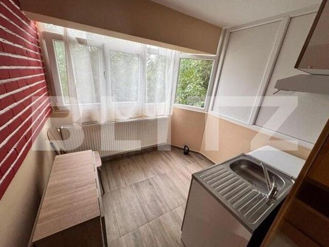 Garsonieră închirieri în Centru, Craiova