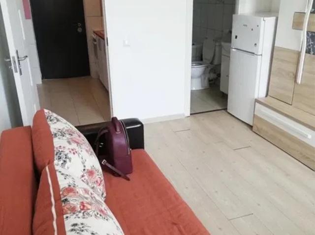 Apartament închirieri în Mircea Cel Batran, Iași