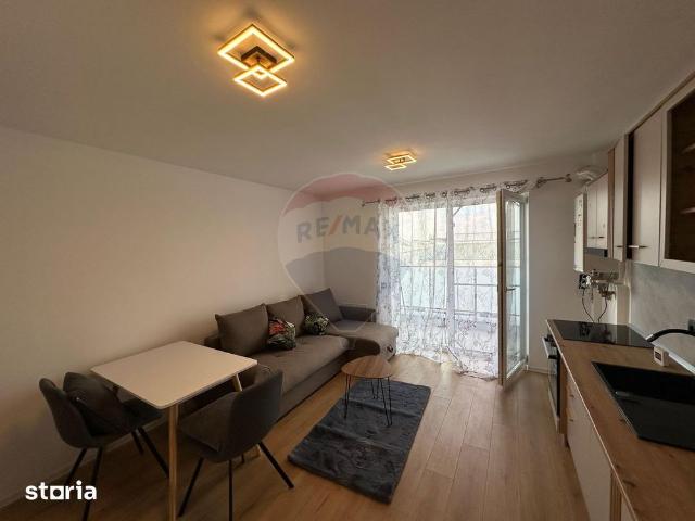 Apartament închirieri în Baia Mare, Maramureș