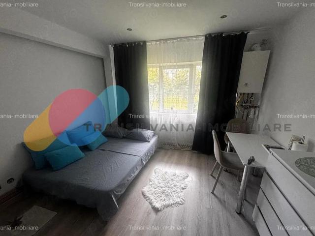Garsonieră închirieri în Cluj-napoca, Cluj