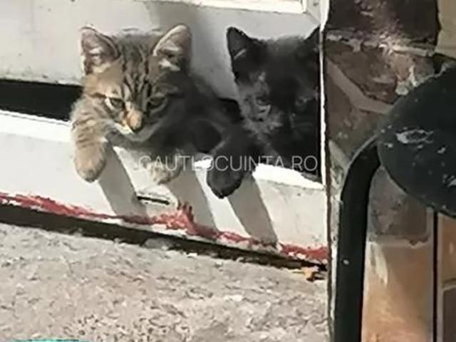 Garsonieră închirieri în București