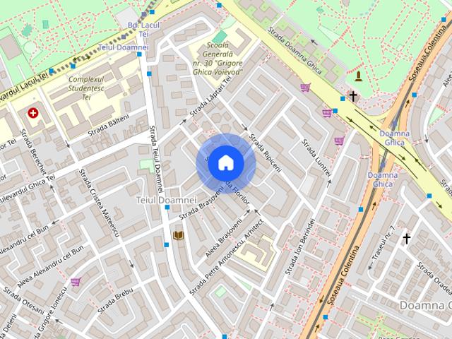 Apartament închirieri în Tei, București