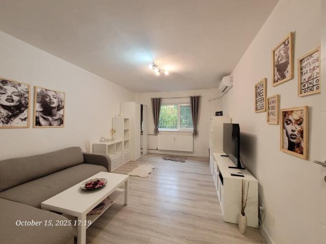 Garsonieră vânzări în București