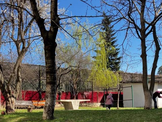 Garsonieră închirieri în Mircea Cel Batran, Iași