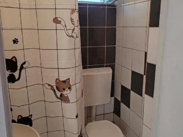 Garsonieră închirieri în Mircea Cel Batran, Iași