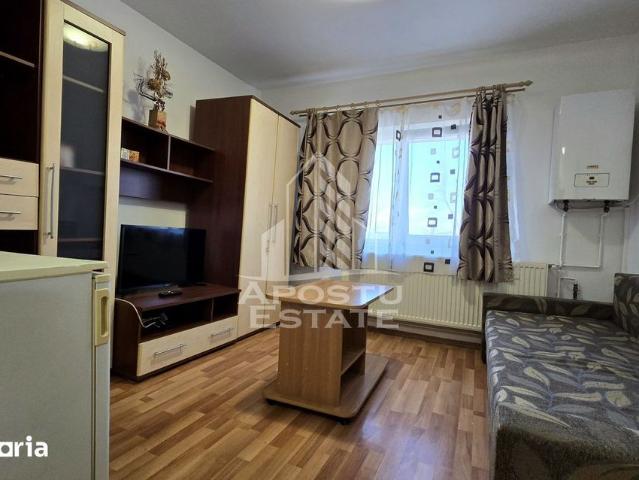 Garsonieră închirieri în Timisoara, Timiș