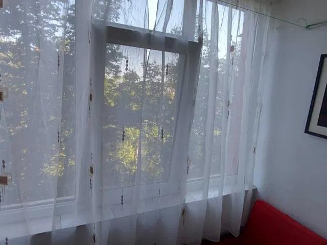 Garsonieră închirieri în Mircea Cel Batran, Iași