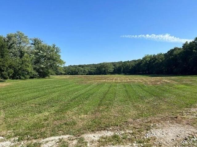 Land for sale in Osceola