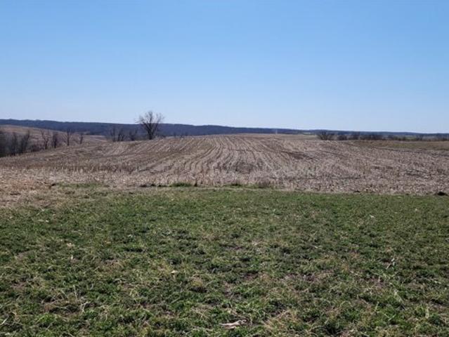 Land for sale in Osceola
