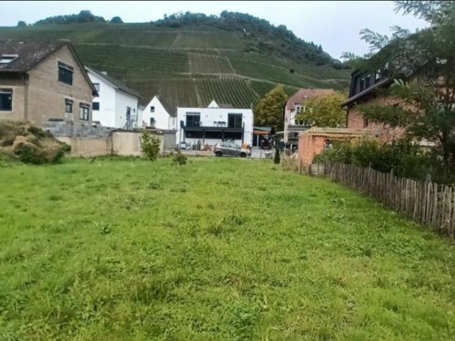 Erdgeschosswohnung mieten in Dernau, Rheinland-Pfalz