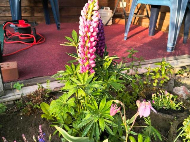 Erdgeschosswohnung mieten in Zuckelhausen, Leipzig