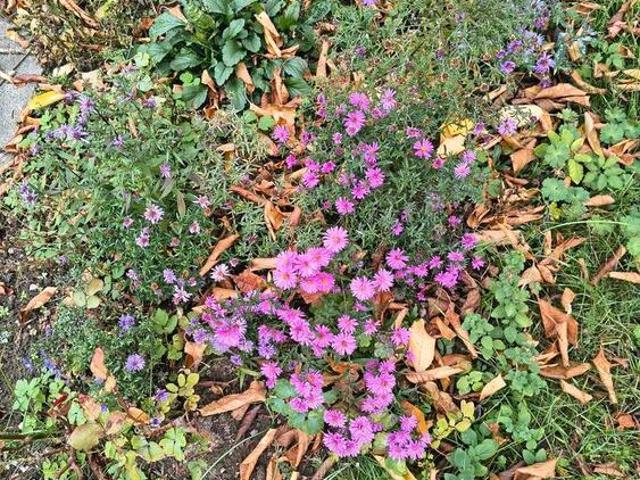 Erdgeschosswohnung mieten in Zuckelhausen, Leipzig