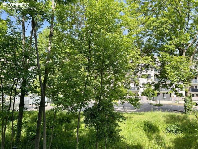 Apartment kaufen in Musikantenviertel (Gartenstadt), Wiener Neustadt