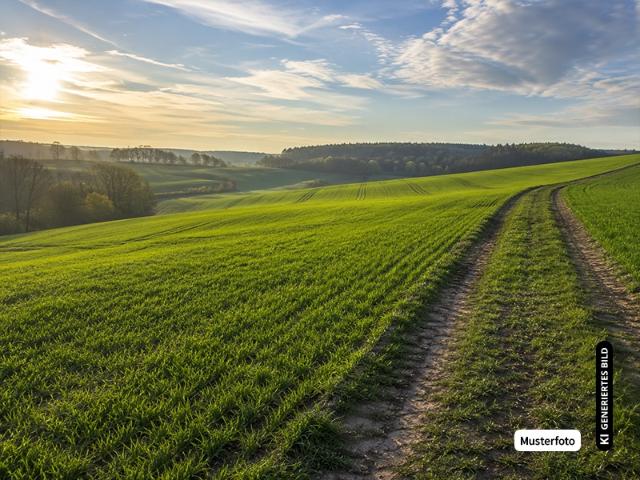 Landwirtschaft kaufen in Mündersbach, Westerwaldkreis