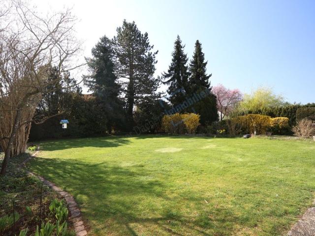 Haus kaufen in Eberstadt, Hessen