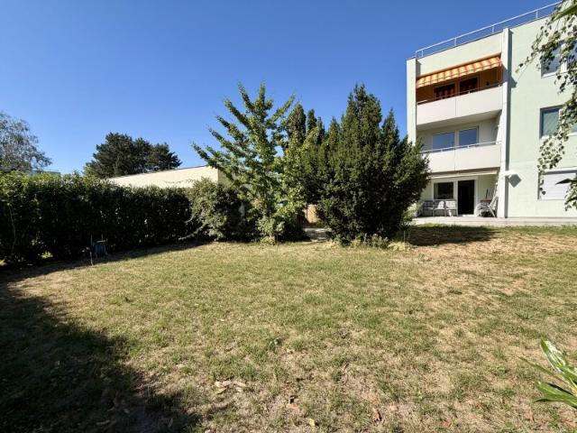 Erdgeschosswohnung kaufen in Floridsdorf, Wien
