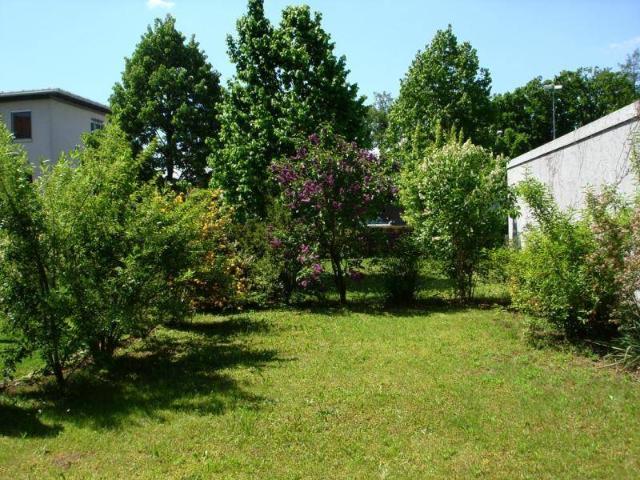 Apartment kaufen in Gersdorf-Feistritz, Steiermark