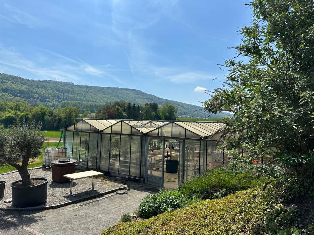Immobilie mieten in Metzerlen-Mariastein, Solothurn