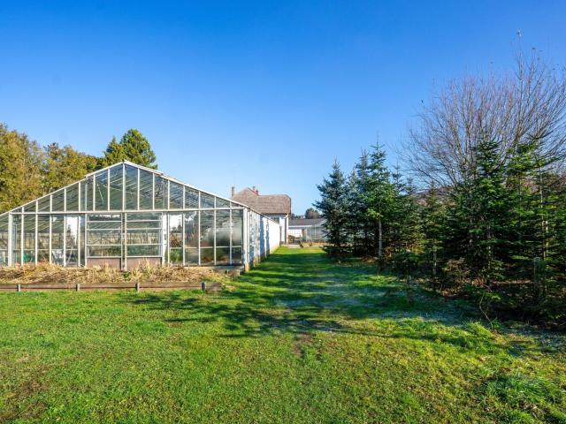 Landwirtschaft kaufen in Katzelsdorf, Niederösterreich