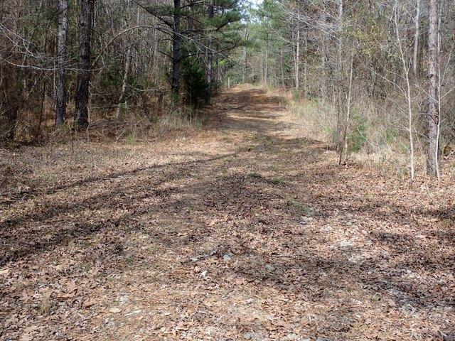 Land for sale in Centreville, Alabama