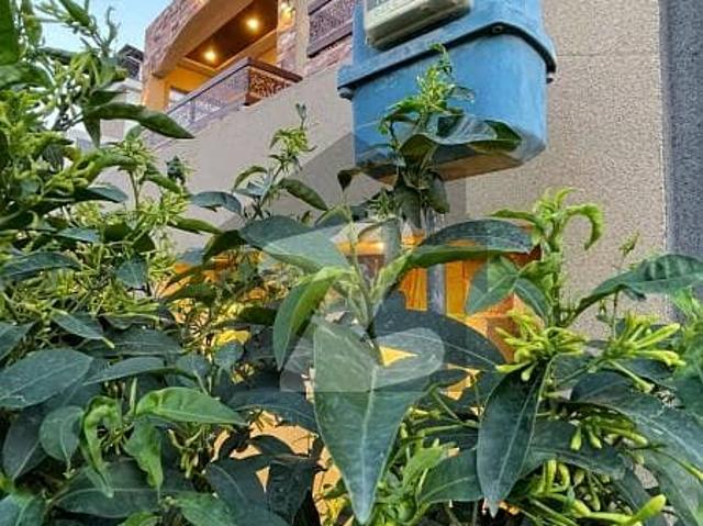 House for rent in Rawalpindi, Islamabad Capital Territory