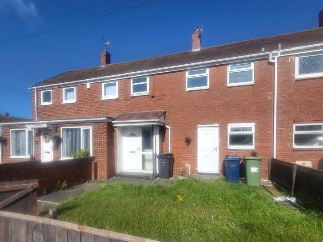 House for rent in South Shields, Biddick Hall
