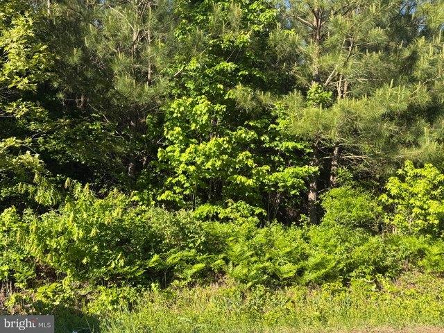 Land for sale in Virginia