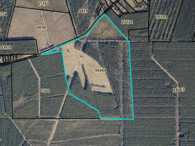Land for sale in Grimesland, North Carolina
