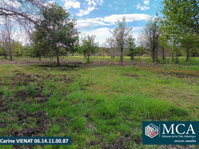 Terrain vente à Mont-de-Marsan, Gastes