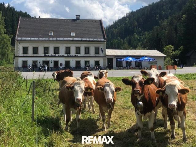 Gewerbe kaufen in Mariazell, Steiermark
