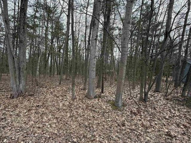 Land for sale in Oscoda, Michigan