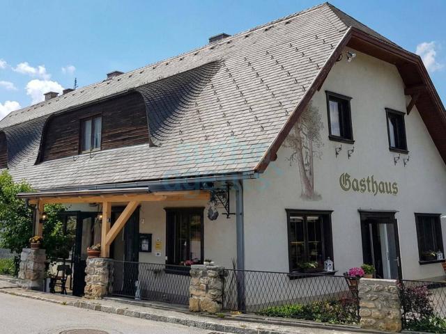 Haus kaufen in Hernstein, Niederösterreich