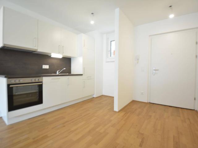 Apartment mieten in Katastralgemeinde Straßgang, Graz