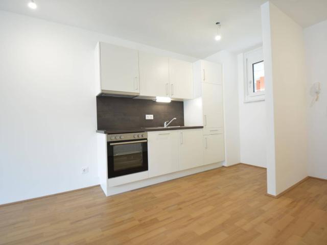 Apartment mieten in Katastralgemeinde Straßgang, Graz