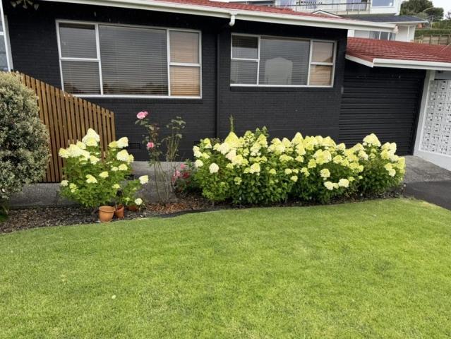 Apartment for rent in Gate Pa, Bay Of Plenty